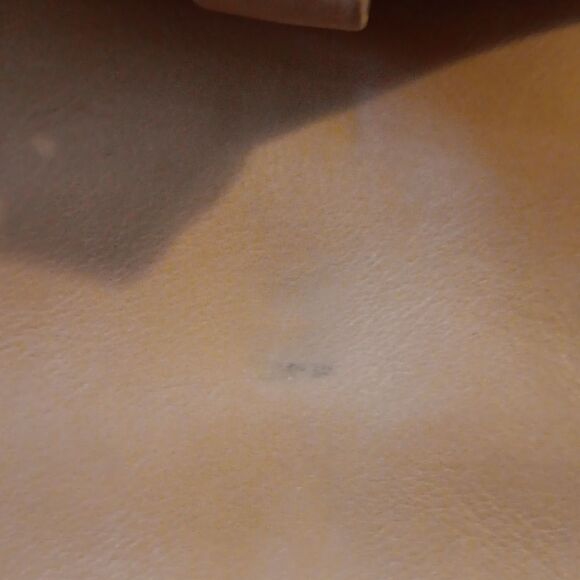 Rebecca Minkoff Mini-Mac Bag.Old Money - Picture 10 of 13